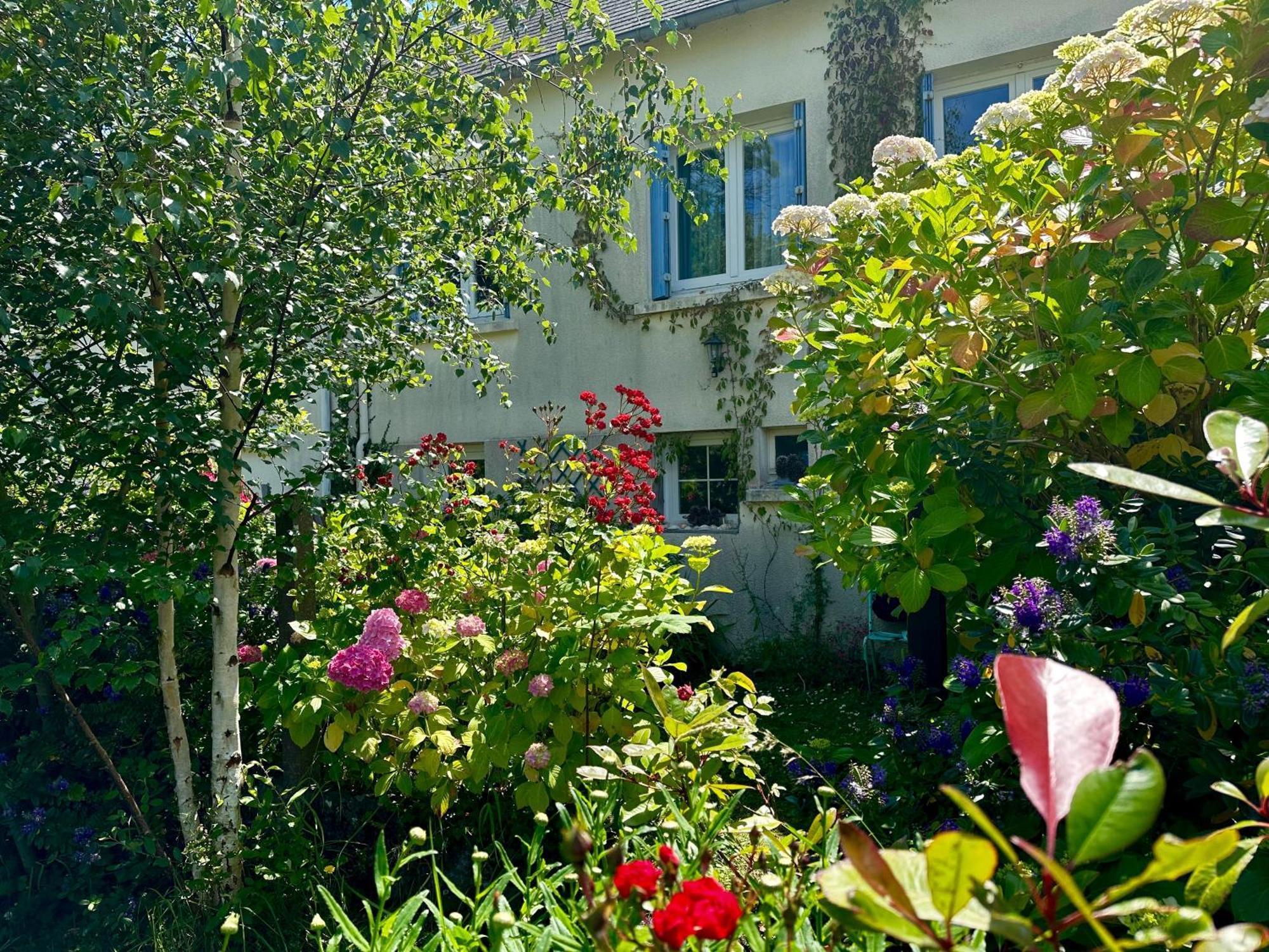 Agréable maison à 500 m de la plage ! Saint-Quay-Portrieux Extérieur photo
